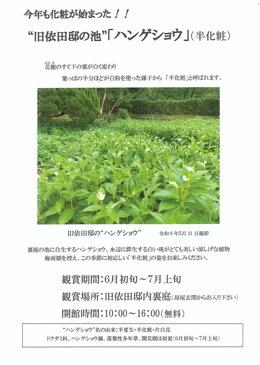 今年も化粧が始まった
